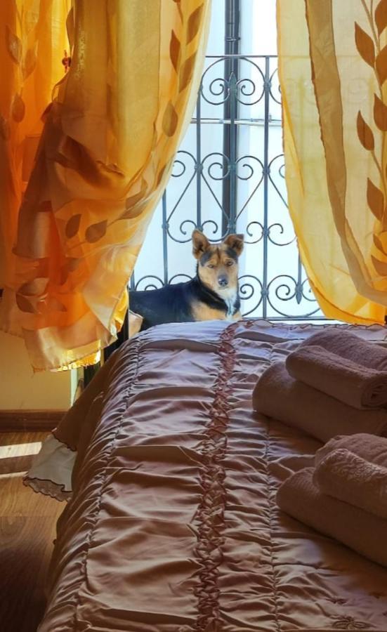 La Casetta Della Nonna Caramanico Terme Exteriér fotografie